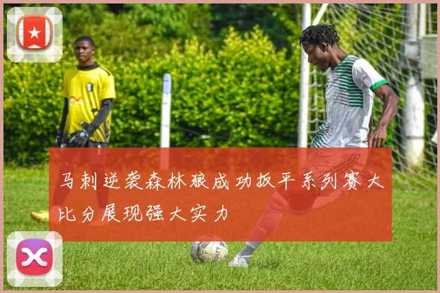马刺逆袭森林狼成功扳平系列赛大比分展现强大实力